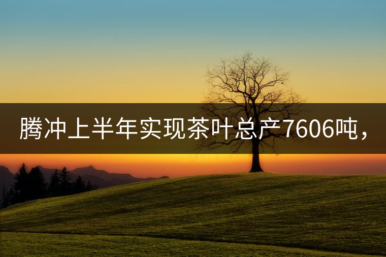 騰沖上半年實(shí)現(xiàn)茶葉總產(chǎn)7606噸，總產(chǎn)值5.58億元