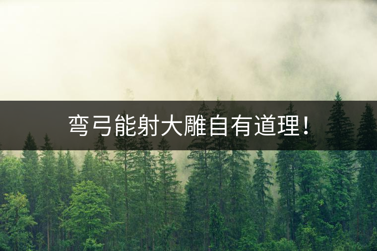 彎弓能射大雕自有道理！