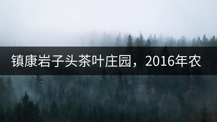 鎮(zhèn)康巖子頭茶葉莊園，2016年農業(yè)產值達6000余萬元
