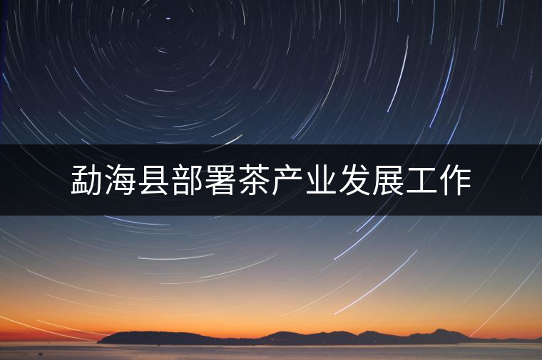 勐?？h部署茶產(chǎn)業(yè)發(fā)展工作