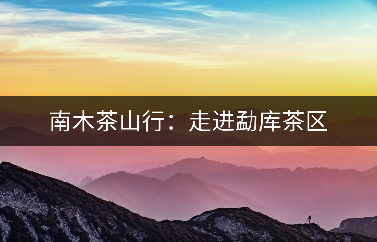 南木茶山行：走進勐庫茶區(qū)