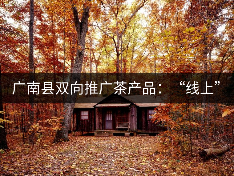 廣南縣雙向推廣茶產(chǎn)品：“線上”銷售茶葉已有100多家，“線下”銷售額已達(dá)百萬