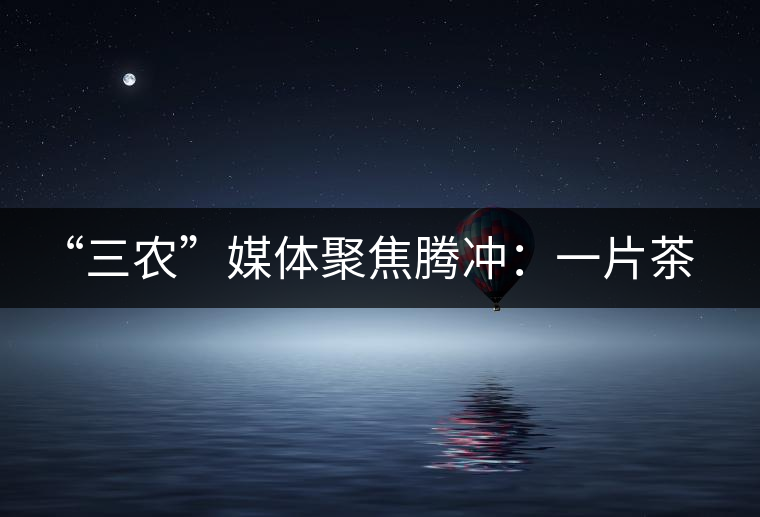 “三農(nóng)”媒體聚焦騰沖:一片茶葉寫就脫貧及茶葉品牌的塑造 “三農(nóng)”媒體聚焦騰沖:一片茶葉寫就脫貧及茶葉品牌的塑造