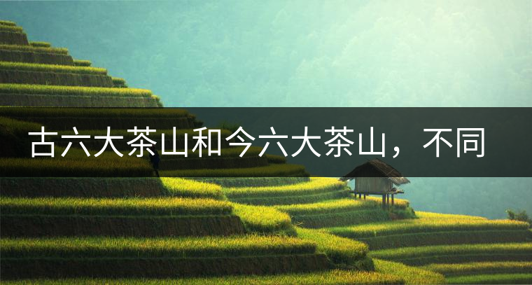 古六大茶山和今六大茶山，不同普洱茶品質