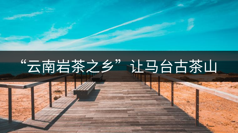 “云南巖茶之鄉(xiāng)”讓馬臺(tái)古茶山春暖花開(kāi)