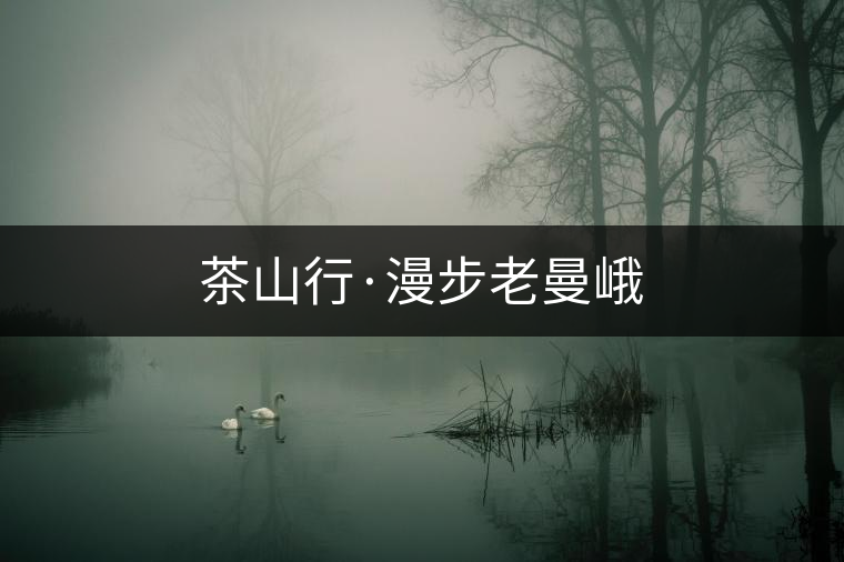 茶山行·漫步老曼峨 茶山行·漫步老曼峨