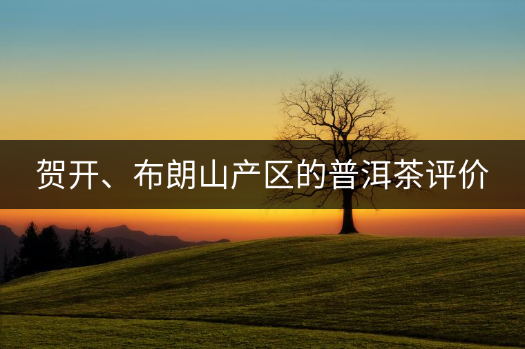 賀開(kāi)、布朗山產(chǎn)區(qū)的普洱茶評(píng)價(jià)
