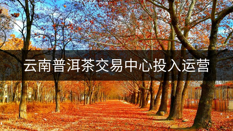 云南普洱茶交易中心投入運(yùn)營(yíng)