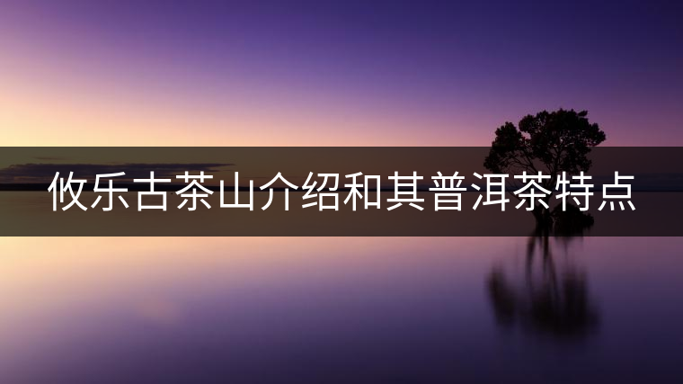 攸樂(lè)古茶山介紹和其普洱茶特點(diǎn)