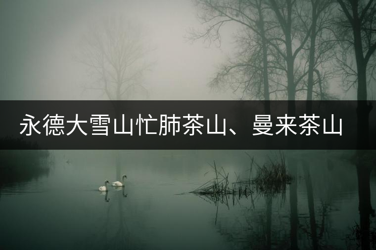 永德大雪山忙肺茶山、曼來茶山、放牛場茶園的生態(tài)指數(shù)