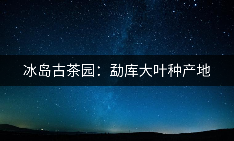 冰島古茶園：勐庫(kù)大葉種產(chǎn)地