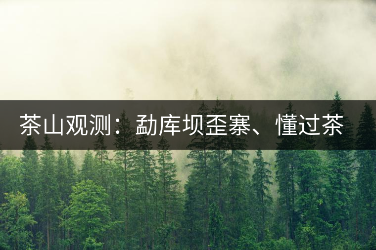茶山觀測(cè)：勐庫壩歪寨、懂過茶山、大戶寨等茶山的生態(tài)指數(shù)