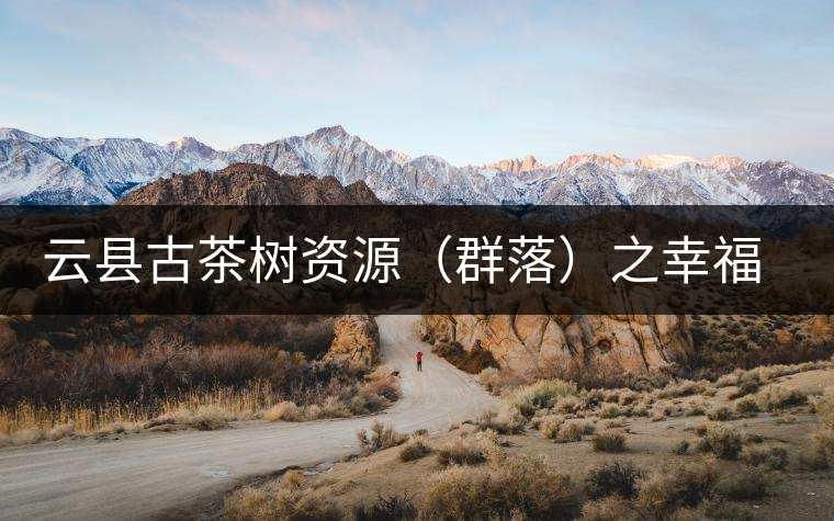 云縣古茶樹資源（群落）之幸福鎮(zhèn)大宗山