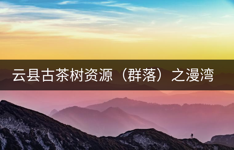 云縣古茶樹資源（群落）之漫灣鎮(zhèn)、茂蘭鎮(zhèn)大丙山