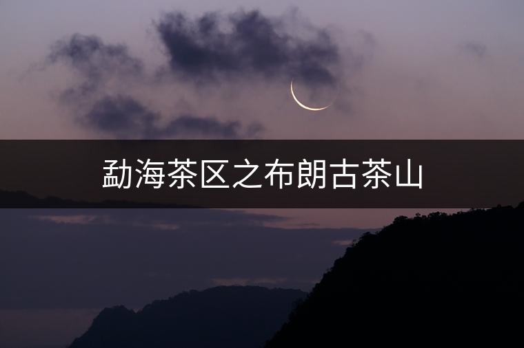 勐海茶區(qū)之布朗古茶山 勐海茶區(qū)之布朗古茶山