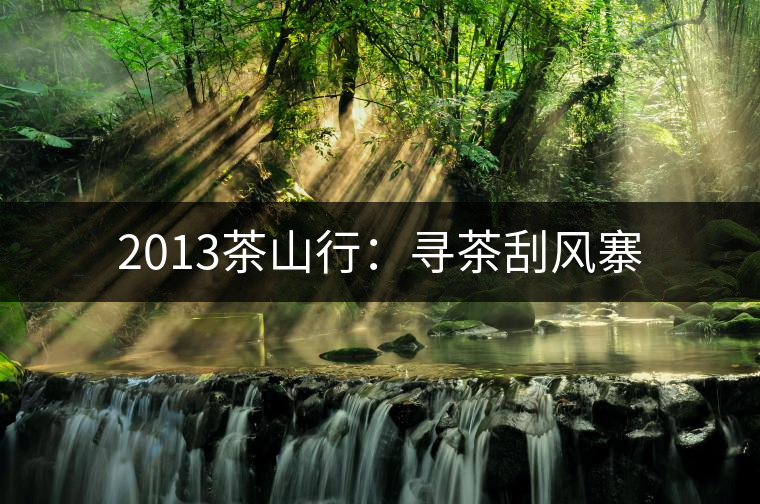 2013茶山行：尋茶刮風寨