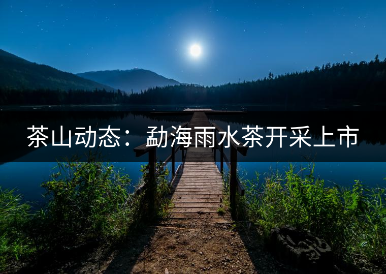茶山動(dòng)態(tài)：勐海雨水茶開(kāi)采上市