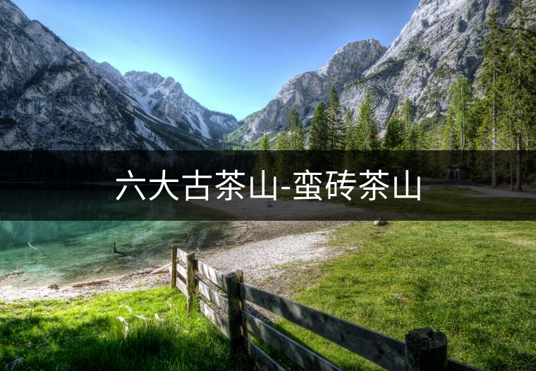 六大古茶山-蠻磚茶山