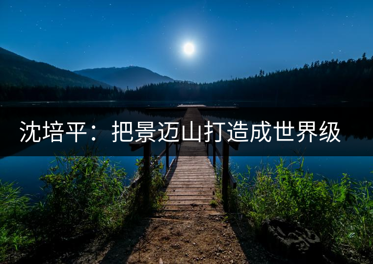 沈培平:把景邁山打造成世界級(jí)旅游品牌 沈培平:把景邁山打造成世界級(jí)旅游品牌