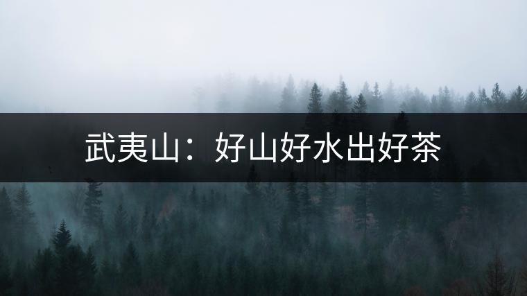 武夷山：好山好水出好茶