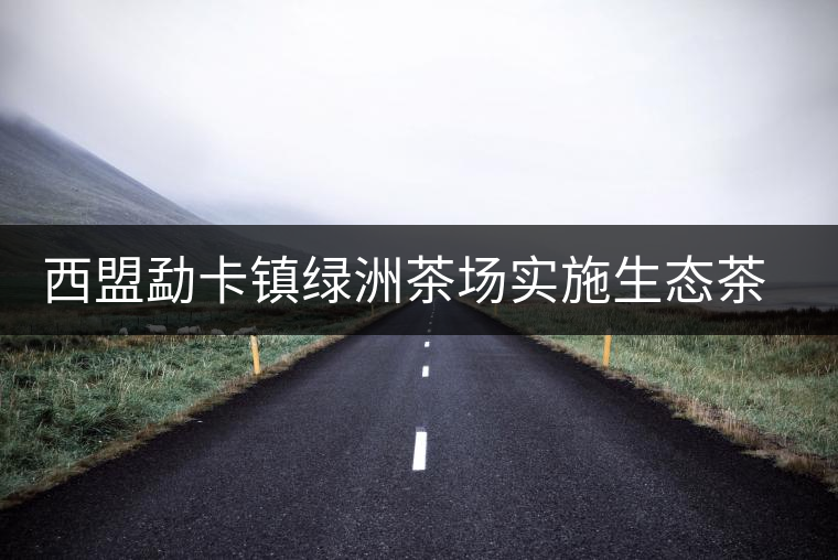 西盟勐卡鎮(zhèn)綠洲茶場(chǎng)實(shí)施生態(tài)茶園改造見效益 西盟勐卡鎮(zhèn)綠洲茶場(chǎng)實(shí)施生態(tài)茶園改造見效益