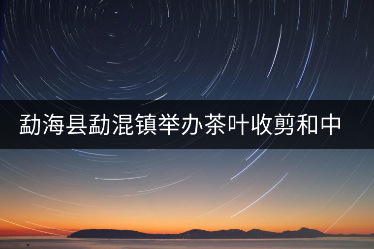 勐海縣勐混鎮(zhèn)舉辦茶葉收剪和中耕培土現(xiàn)場培訓會