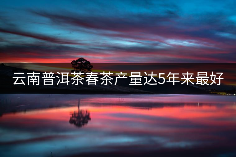 云南普洱茶春茶產(chǎn)量達(dá)5年來(lái)最好