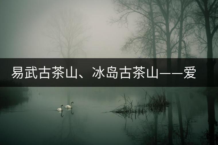 易武古茶山、冰島古茶山——愛茶人的旅游選擇