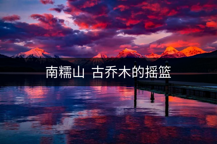 南糯山 古喬木的搖籃 南糯山 古喬木的搖籃