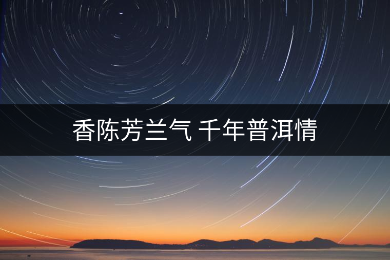 香陳芳蘭氣 千年普洱情 香陳芳蘭氣 千年普洱情