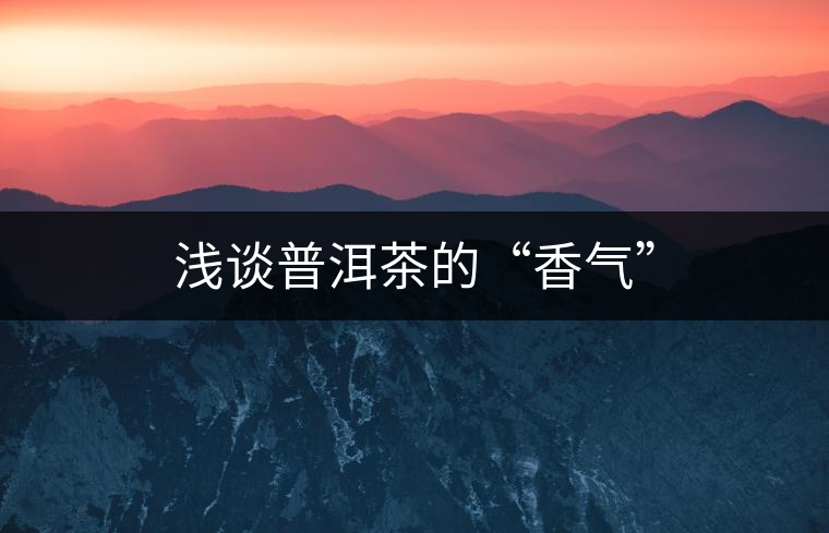 淺談普洱茶的“香氣”