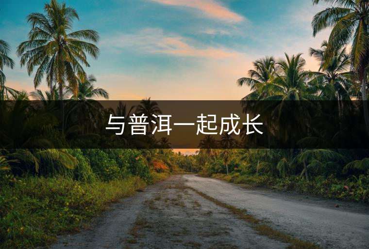 與普洱一起成長 與普洱一起成長