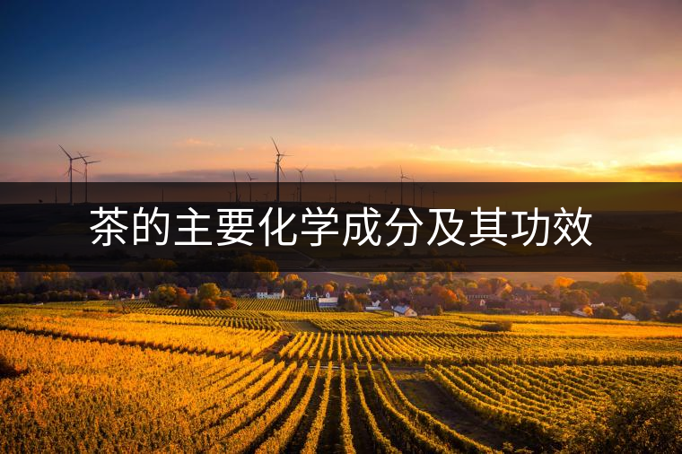 茶的主要化學成分及其功效