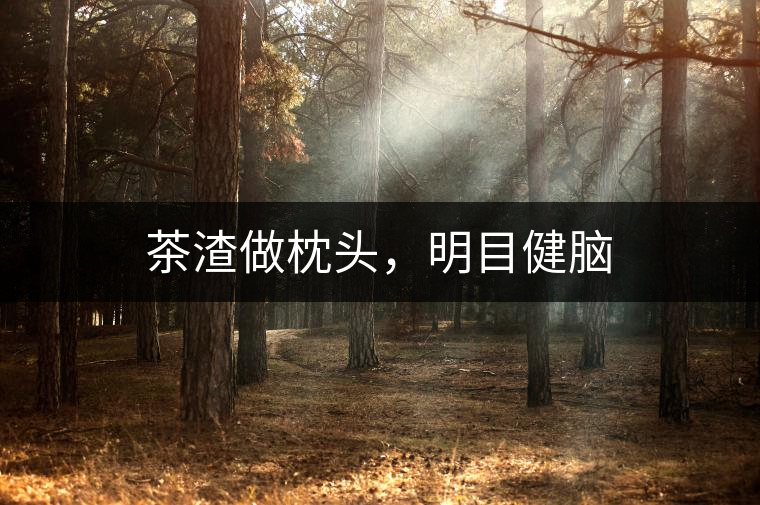 茶渣做枕頭，明目健腦