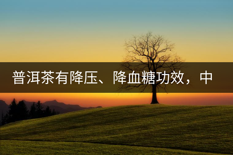 普洱茶有降壓、降血糖功效，中老年人不再懼怕糖尿病