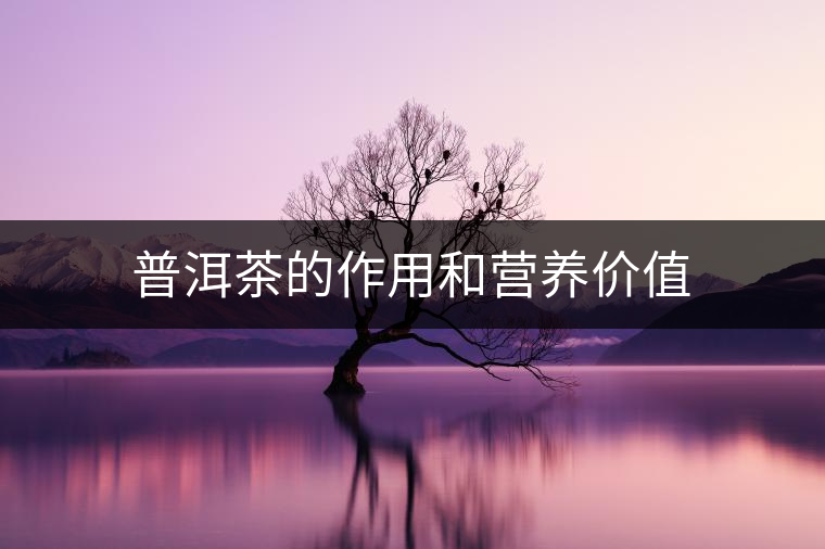 普洱茶的作用和營養(yǎng)價值