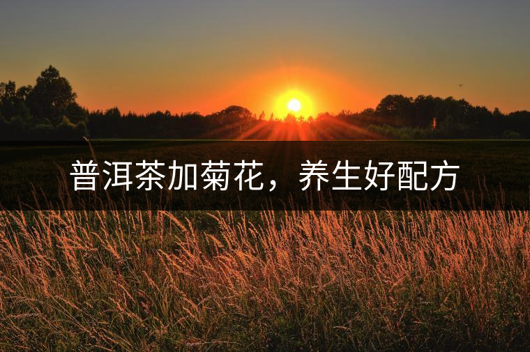 普洱茶加菊花，養(yǎng)生好配方