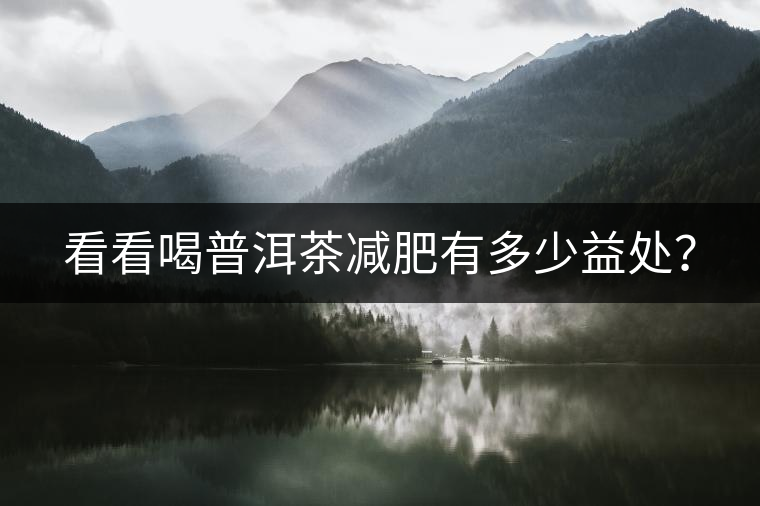 看看喝普洱茶減肥有多少益處？