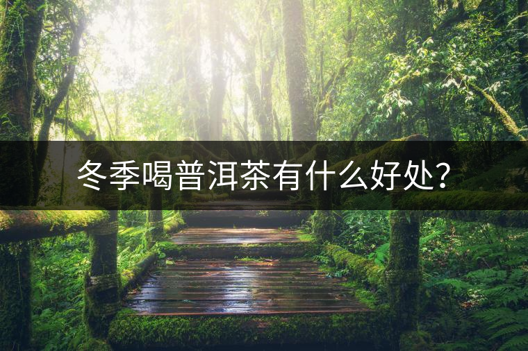 冬季喝普洱茶有什么好處？