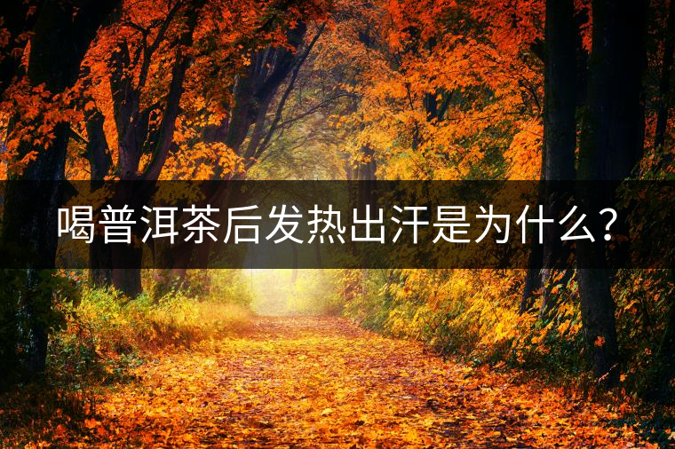 喝普洱茶后發(fā)熱出汗是為什么？