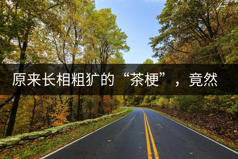 原來長相粗獷的“茶?！?，竟然還有這么多的作用