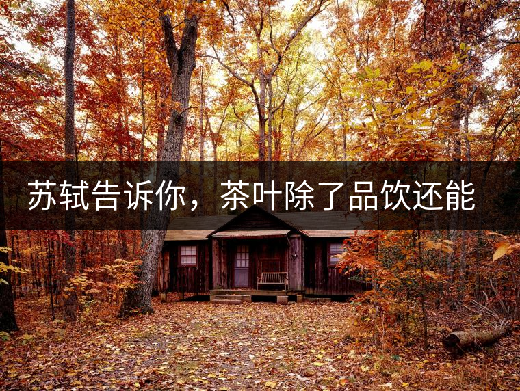 蘇軾告訴你，茶葉除了品飲還能做什么？