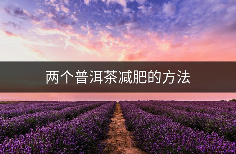 兩個普洱茶減肥的方法 兩個普洱茶減肥的方法