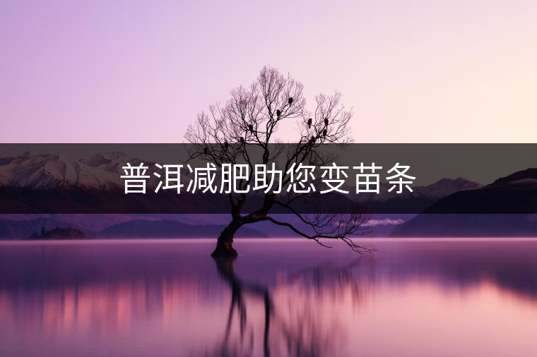普洱減肥助您變苗條 普洱減肥助您變苗條