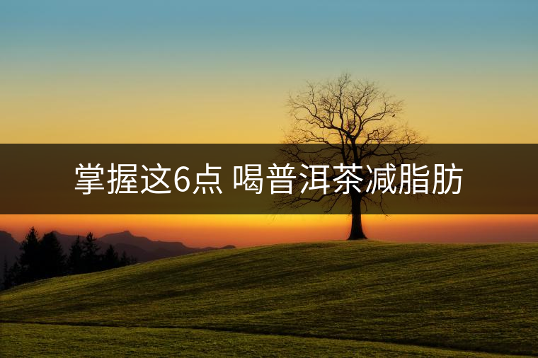 掌握這6點 喝普洱茶減脂肪 掌握這6點 喝普洱茶減脂肪