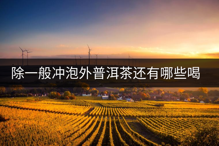 除一般沖泡外普洱茶還有哪些喝法？