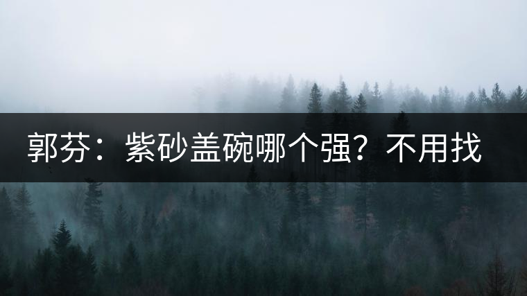 郭芬：紫砂蓋碗哪個(gè)強(qiáng)？不用找藍(lán)翔