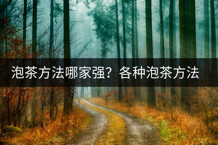 泡茶方法哪家強(qiáng)？各種泡茶方法介紹