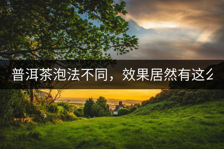 普洱茶泡法不同，效果居然有這么大區(qū)別！