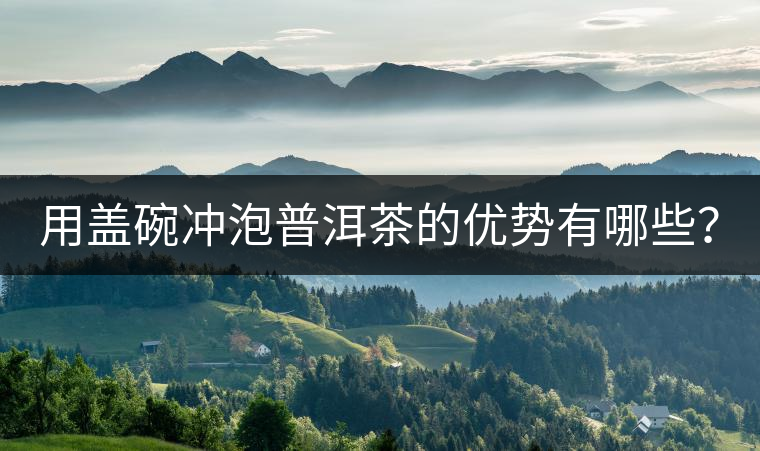 用蓋碗沖泡普洱茶的優(yōu)勢(shì)有哪些？